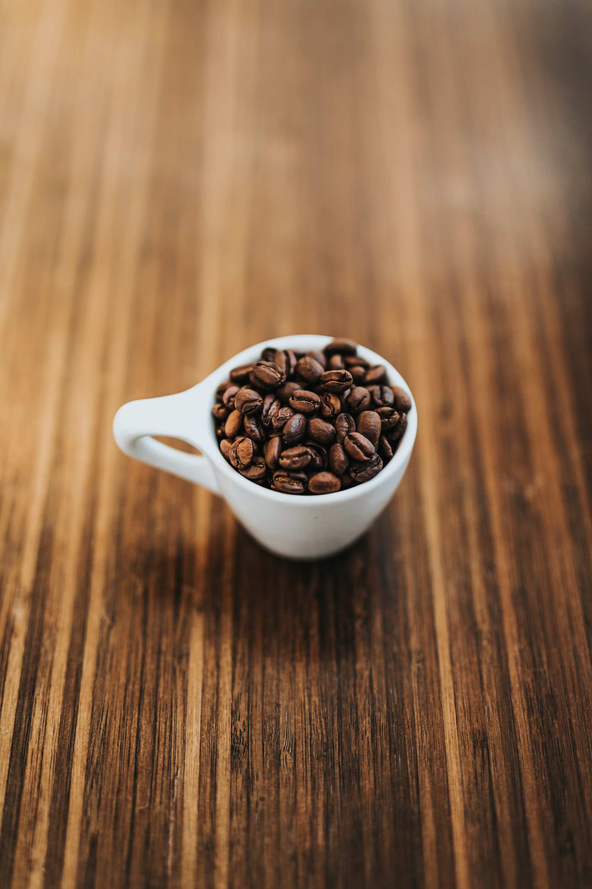 Panamanian Geisha